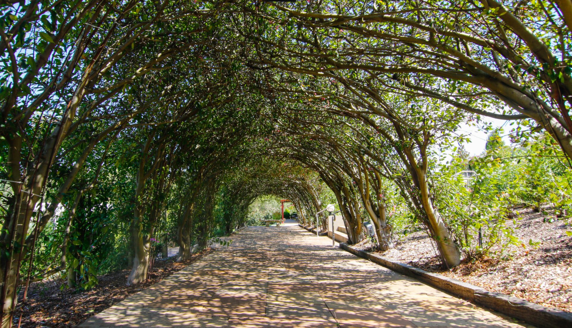 40 Masonmill Road, Carmel Sold by Luxury Real Estate Sales - image 1