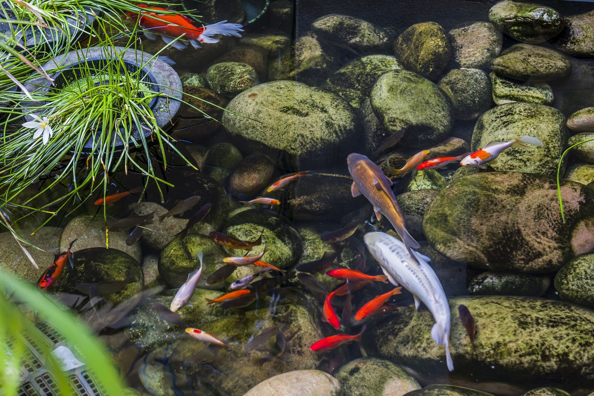 4/50 Trafalgar Road, East Perth Sold by Luxury Real Estate Sales - image 1