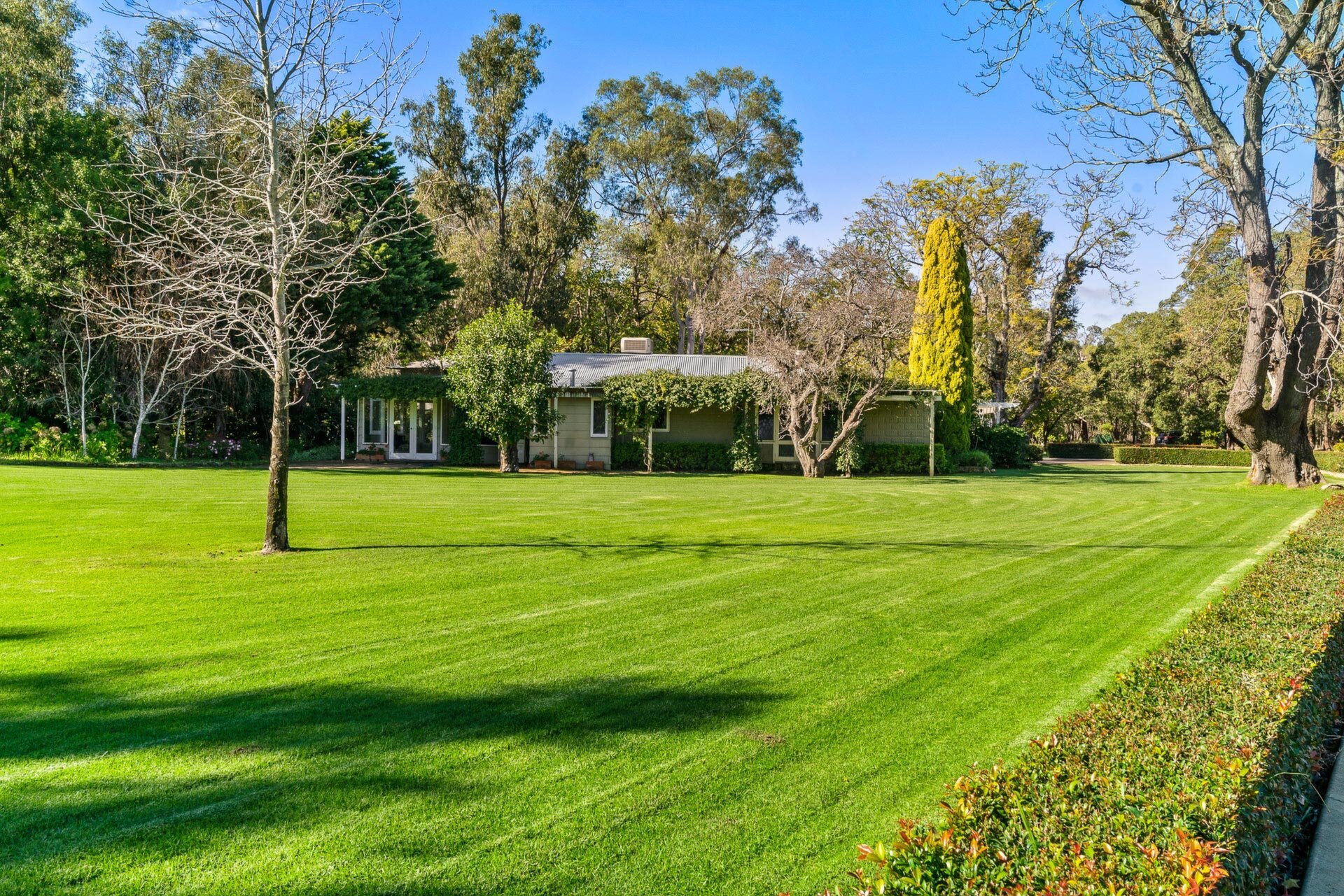 2 Gavour Road, Wattle Grove Sold by Luxury Real Estate Sales - image 1