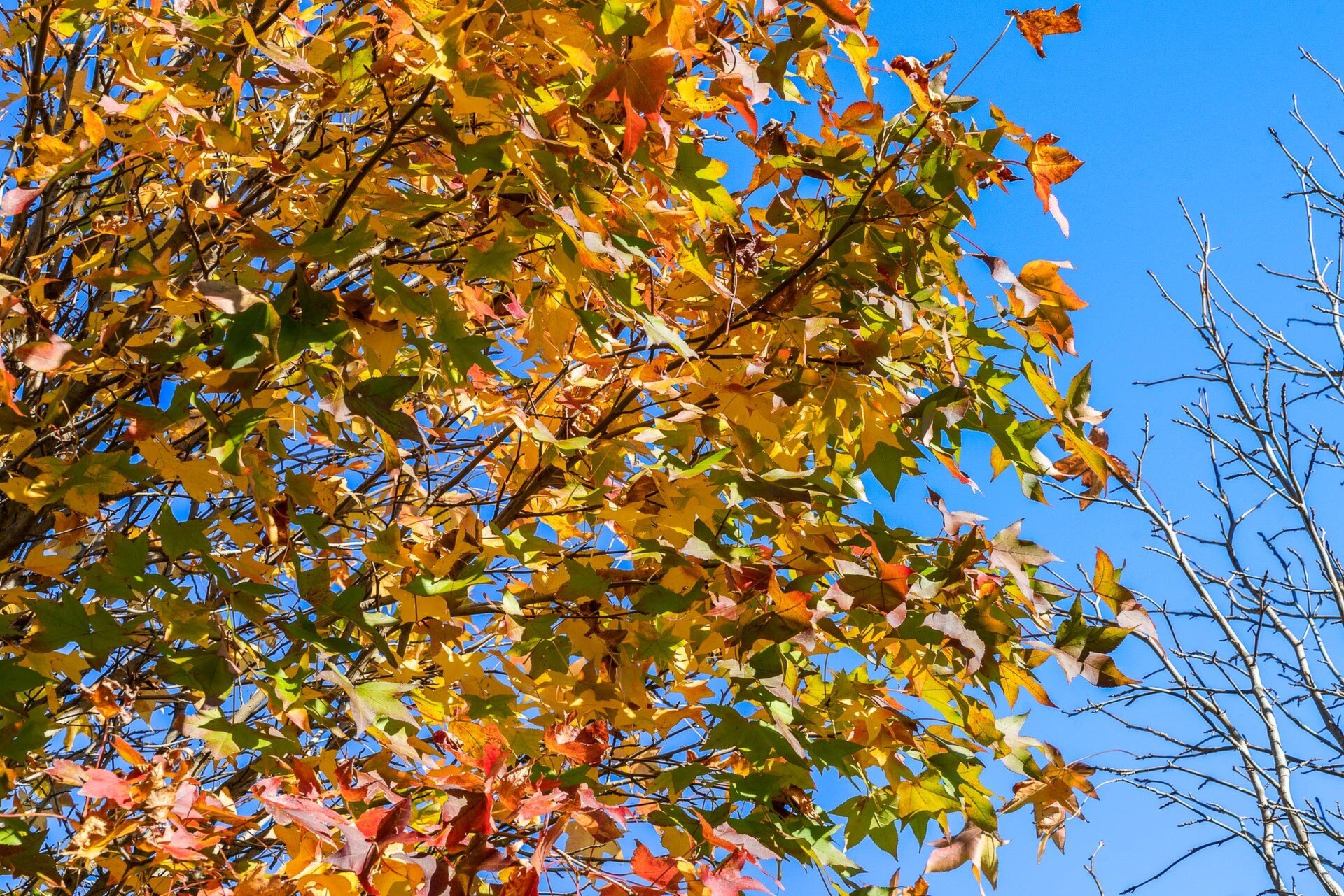 2 Gavour Road, Wattle Grove Sold by Luxury Real Estate Sales - image 1