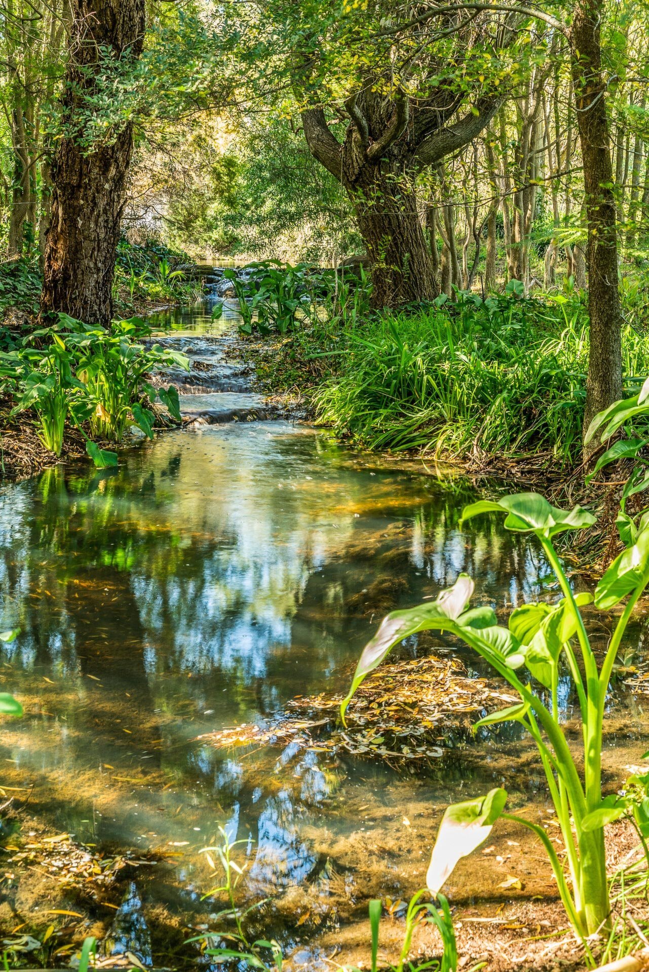 2 Gavour Road, Wattle Grove Sold by Luxury Real Estate Sales - image 1