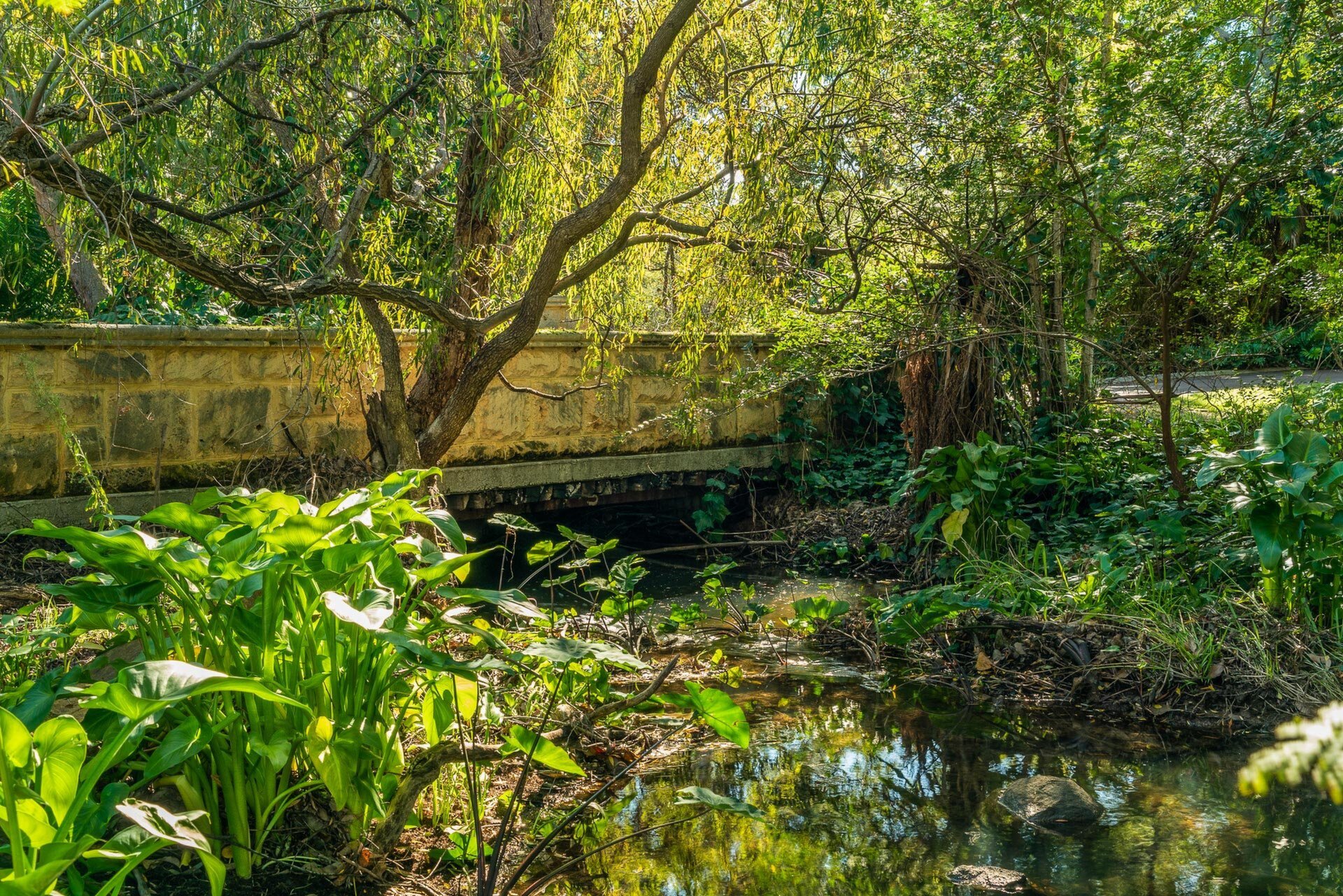 2 Gavour Road, Wattle Grove Sold by Luxury Real Estate Sales - image 1