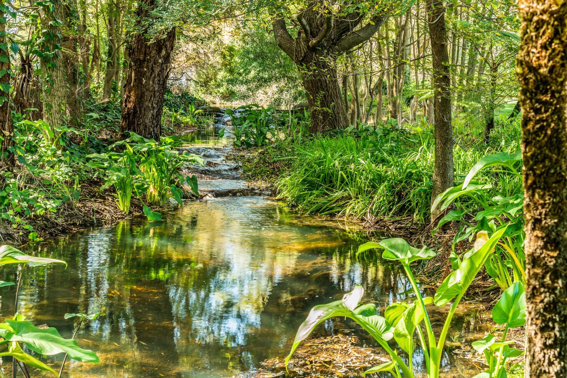 2 Gavour Road, Wattle Grove Sold by Luxury Real Estate Sales - image 1