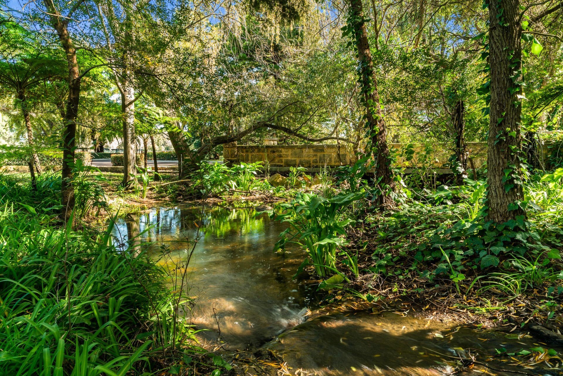 2 Gavour Road, Wattle Grove Sold by Luxury Real Estate Sales - image 1