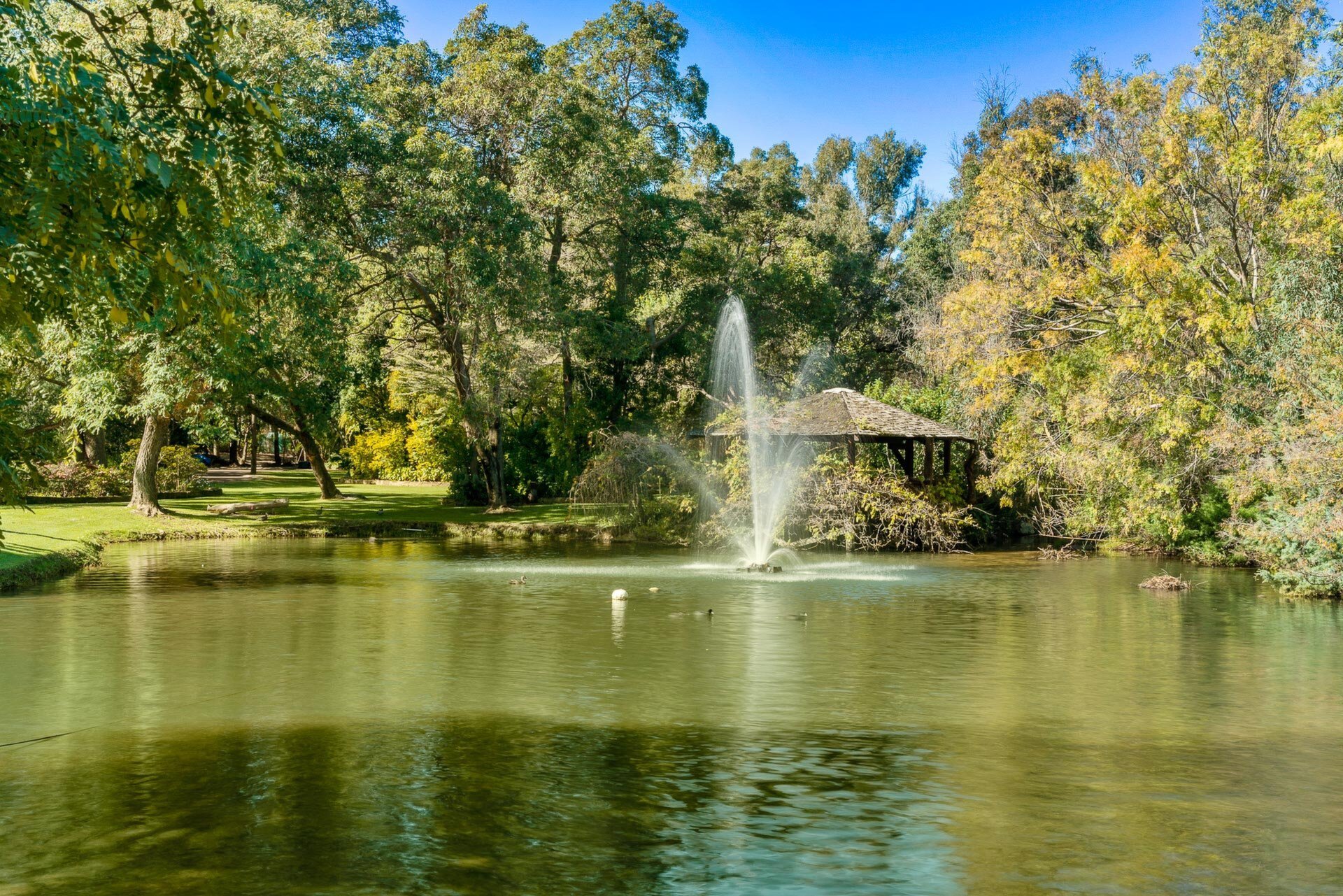 2 Gavour Road, Wattle Grove Sold by Luxury Real Estate Sales - image 1