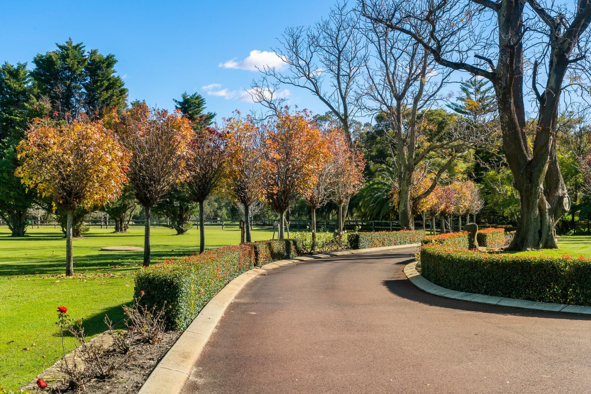 2 Gavour Road, Wattle Grove Sold by Luxury Real Estate Sales - image 1