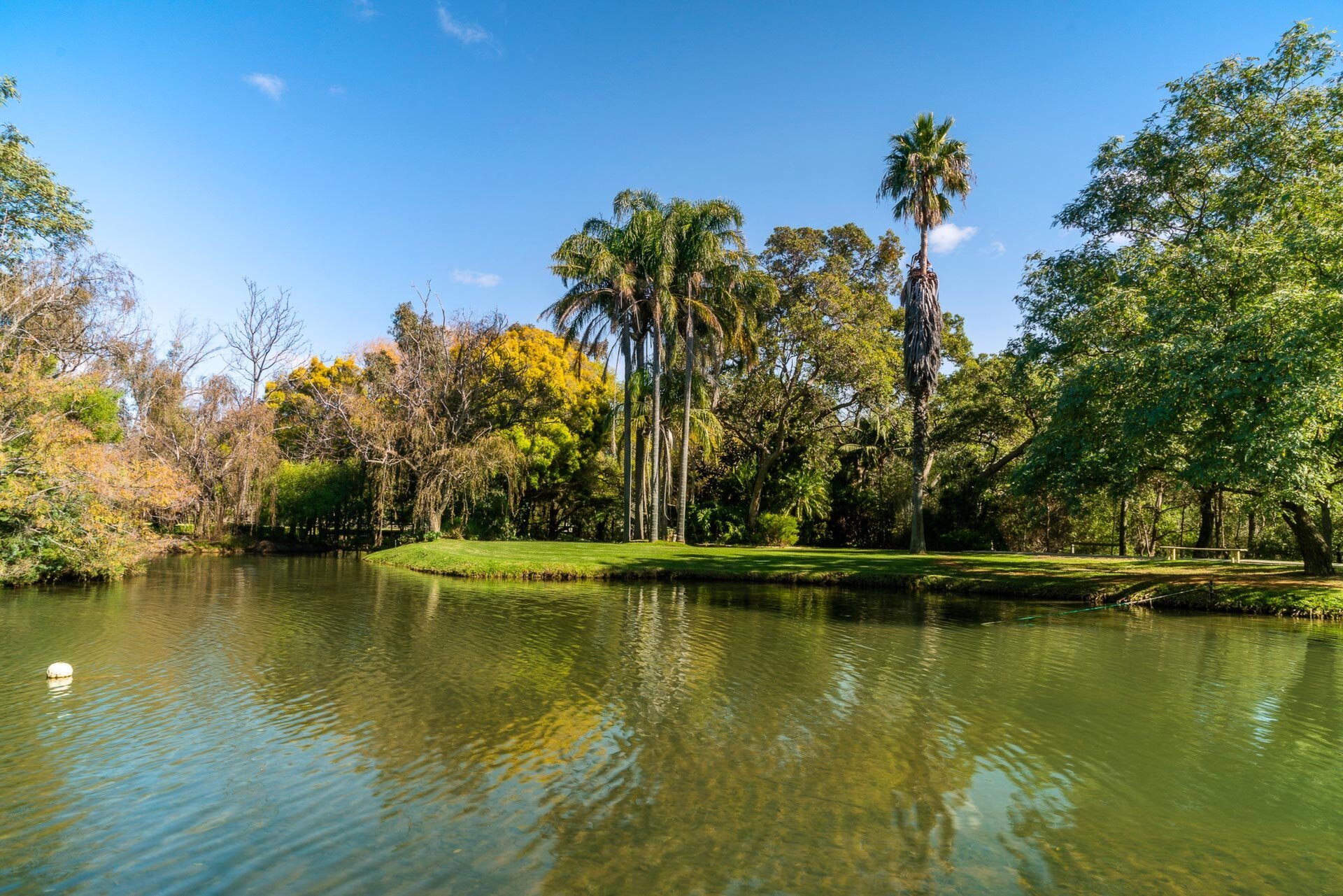 2 Gavour Road, Wattle Grove Sold by Luxury Real Estate Sales - image 1