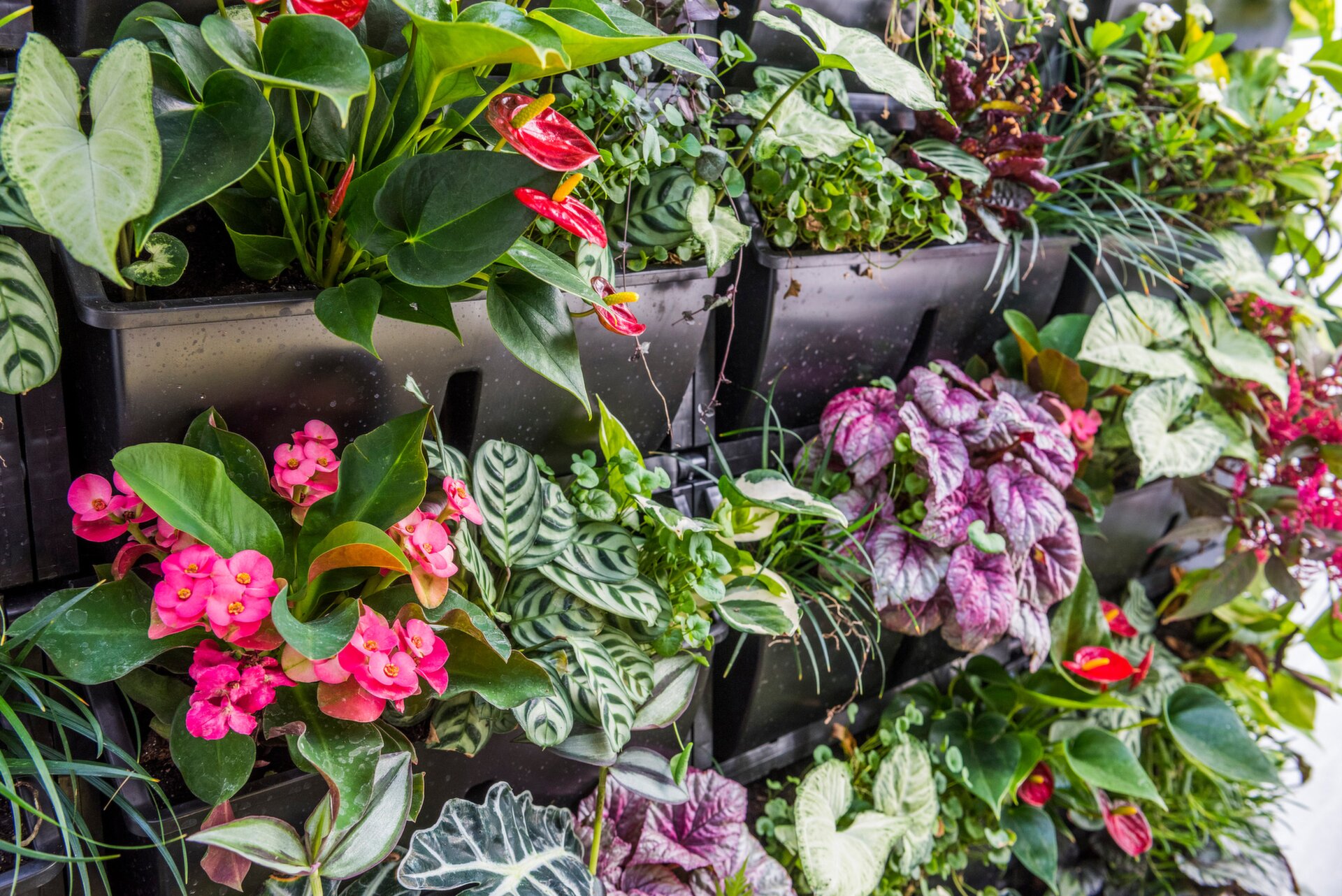 2 Little Saunders Street, East Perth Sold by Luxury Real Estate Sales - image 1