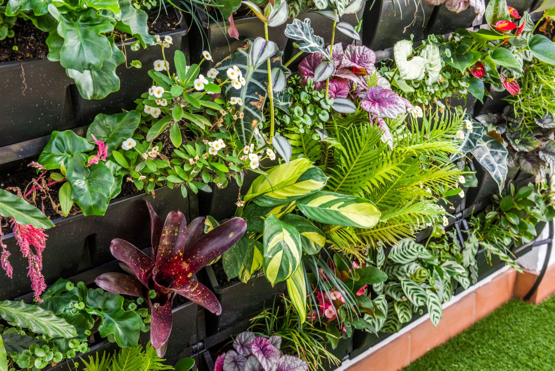 2 Little Saunders Street, East Perth Sold by Luxury Real Estate Sales - image 1